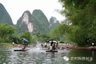 休闲农业十大盈利模式,休闲农业致富方法