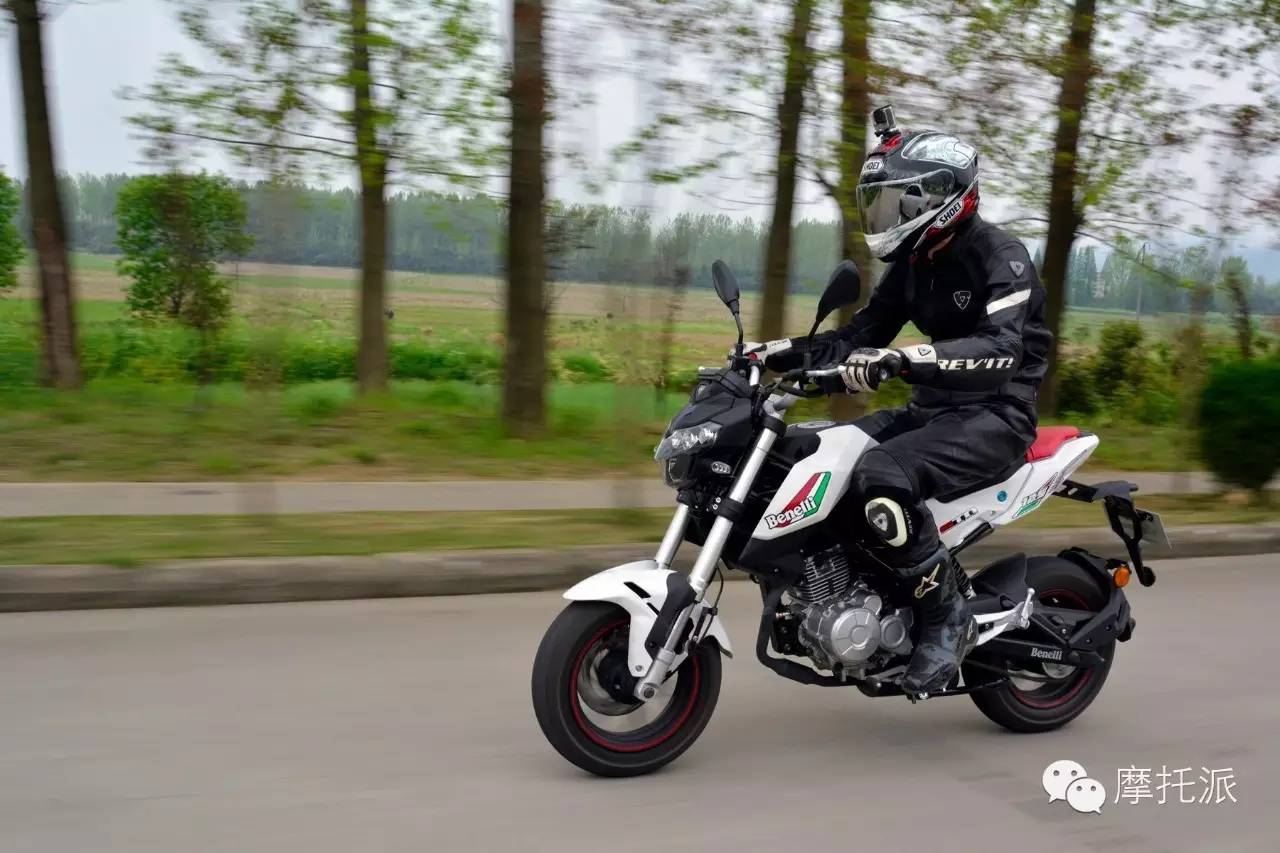 贝纳利小暴龙暴力吗,贝纳利小暴龙最详细的介绍