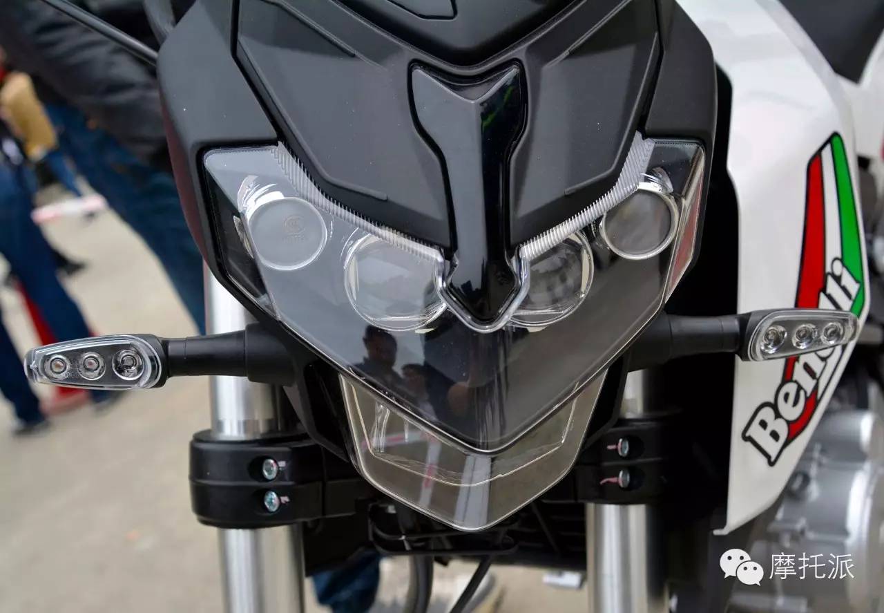 贝纳利小暴龙暴力吗,贝纳利小暴龙最详细的介绍