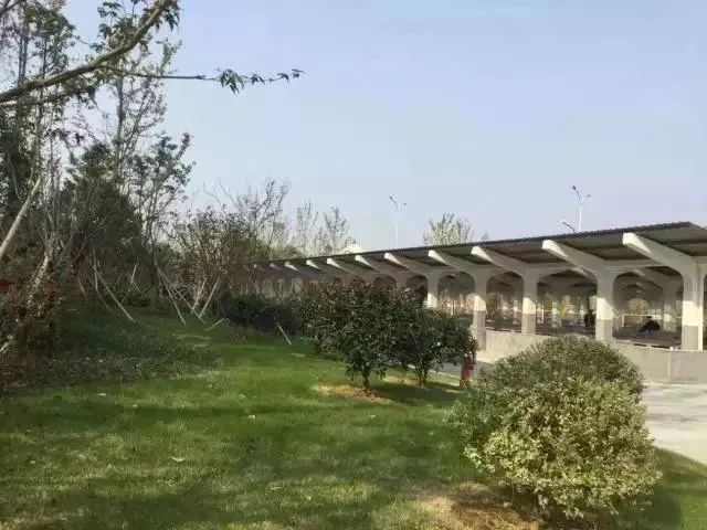 历史上的义乌小商品市场地址,曾经的义乌小商品市场现在怎样了