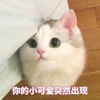 月亮女神露娜cos,cos二次元露娜