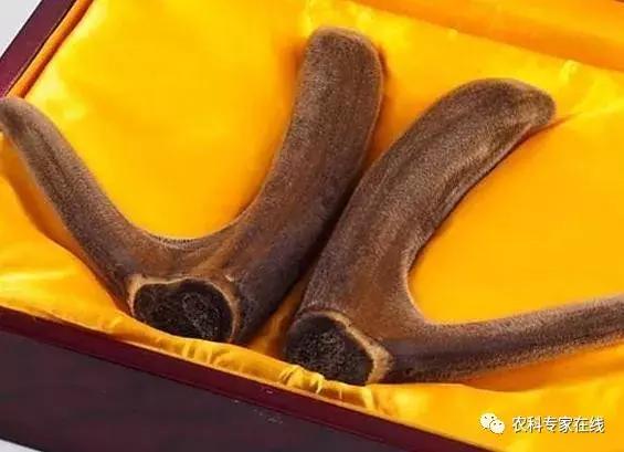 李春义｜直径10厘米的伤口，1分钟止血，6天痊愈，谁是幕后推手？