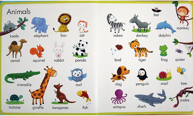 什么是母语式英语启蒙,英语初级和英语启蒙有什么区别