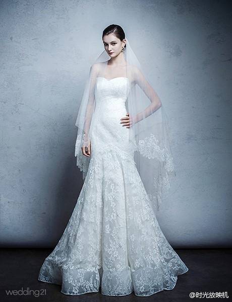 婚纱照唯美系列,婚纱照片免费制作