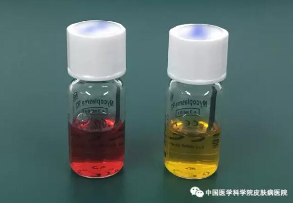 绉戞櫘灏胯矾鎰熸煋,绉戞櫘灏块亾鎰熸煋