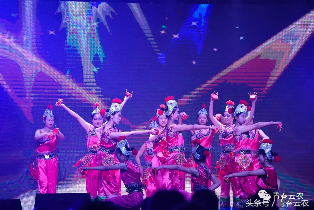 社团嘉年华会场,社团嘉年华图片大全