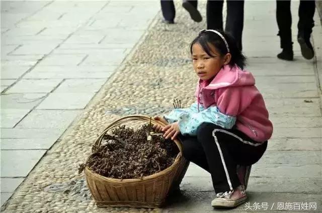 恩施山里野果小时候的味道,恩施野果大全