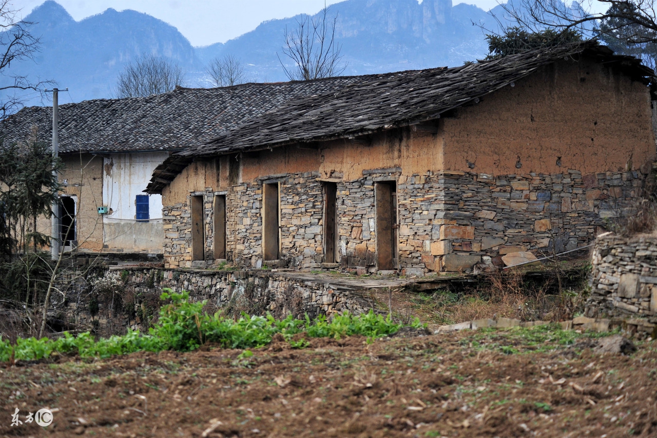 许三观卖血记烧二两黄酒,许三观二两黄酒