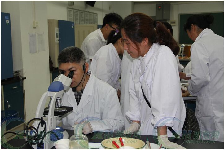 猪场驱虫有妙招--正典驱虫培训班吸引众多规模猪场参与