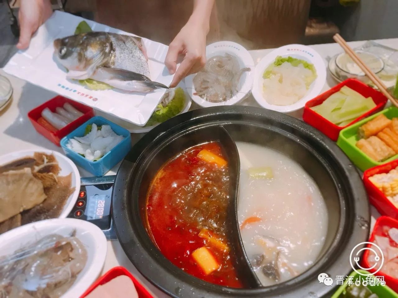 霸气！晋江这家店在火锅界已经拉痛恨了，锅底免费+3元开吃……