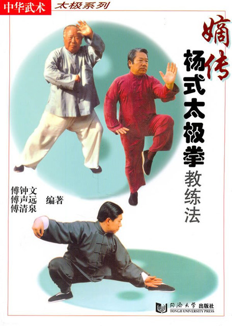 正宗杨式太极拳,杨式太极拳领会及重点点拨