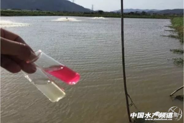 养殖水浓用什么药好,养殖水硬度高有什么好处