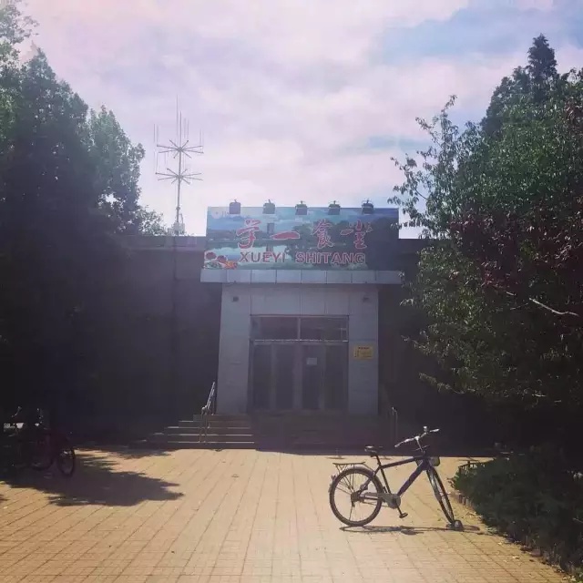 豆瓣日记:我们从未远去的北大岁月