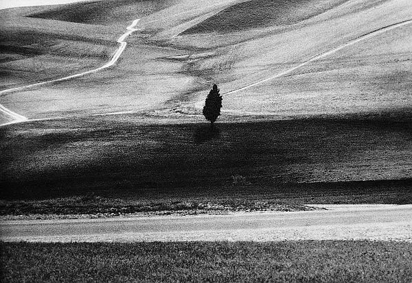 一个陌生女人的来信话剧完整版,一个陌生女人的来信