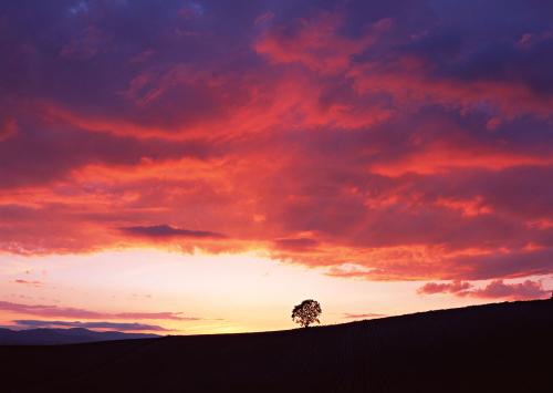 老祖宗的天气预报真的太准了,天气预报历史下雨概率