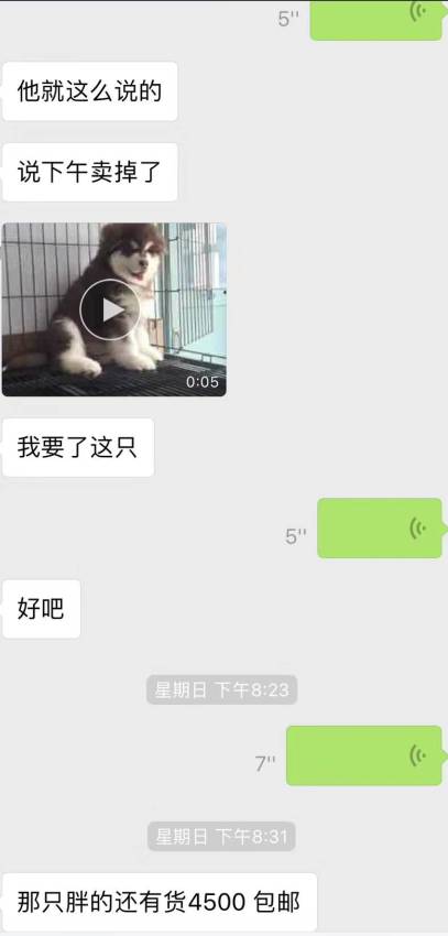 宠物爱心骗局新套路,宠物圈骗局大揭秘