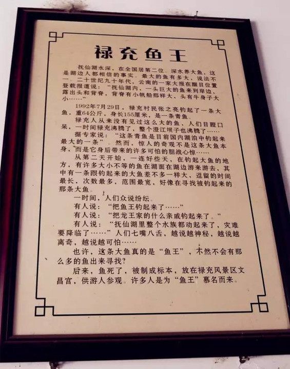 云南历史记忆抚仙湖,云南抚仙湖千古之谜