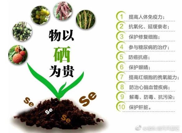 最奢华的温泉,带你体验一下史上最舒服的温泉