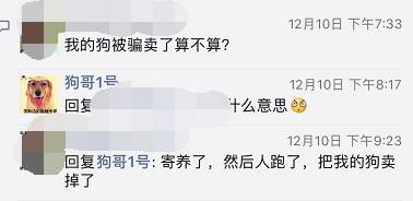 宠物爱心骗局新套路,宠物圈骗局大揭秘