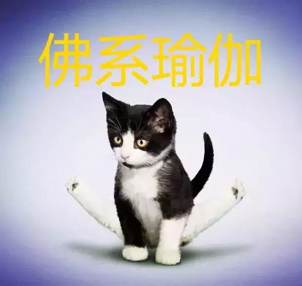 佛系瑜伽,练佛系瑜伽