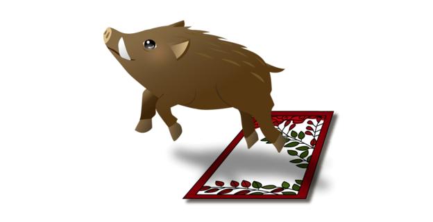 属猪的人在什么生肖年交好运,十二生肖属猪人的相遇运势