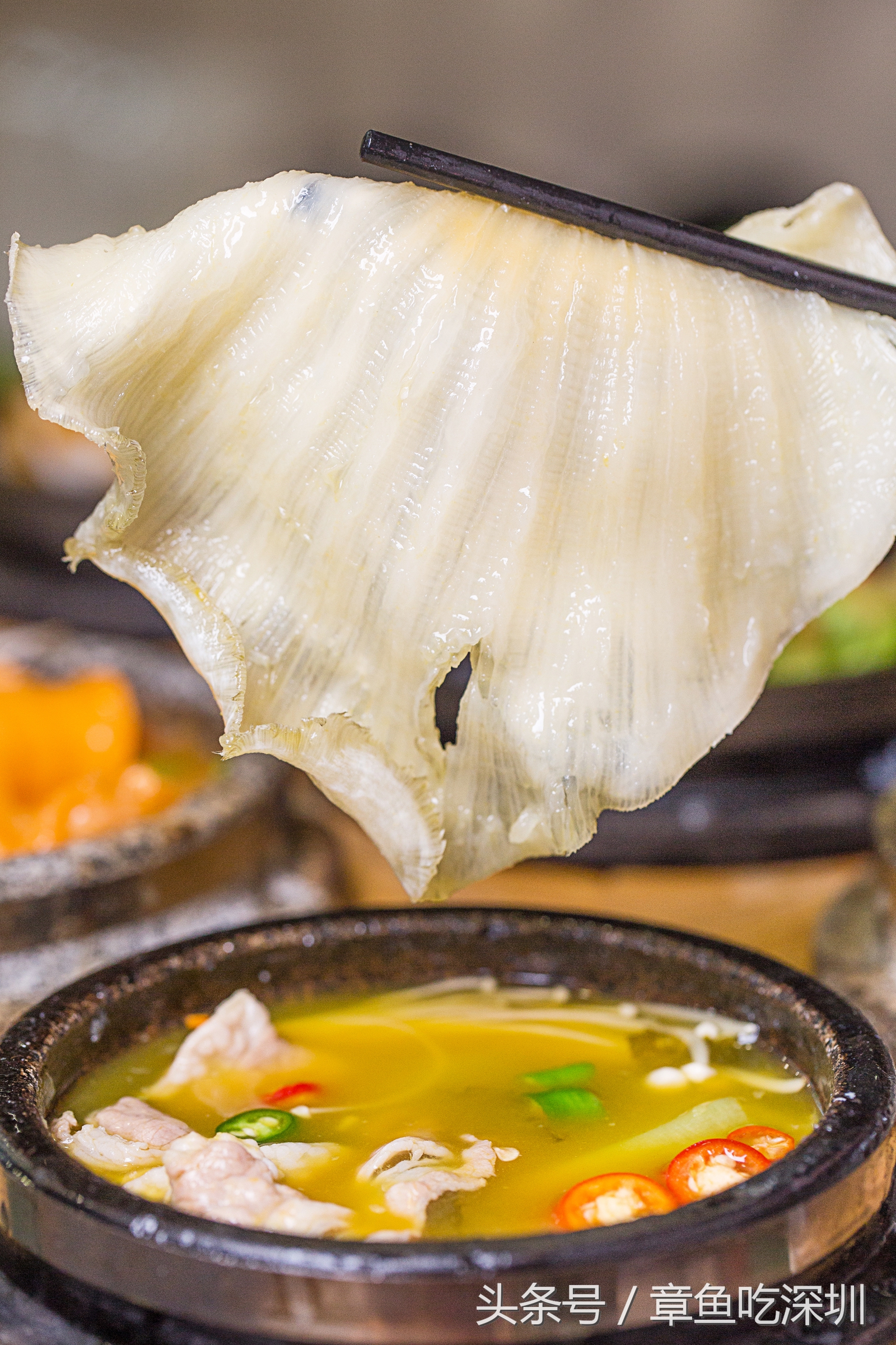 哪里有鱼翅捞饭,每份仅需9.9元鱼翅捞饭随便吃