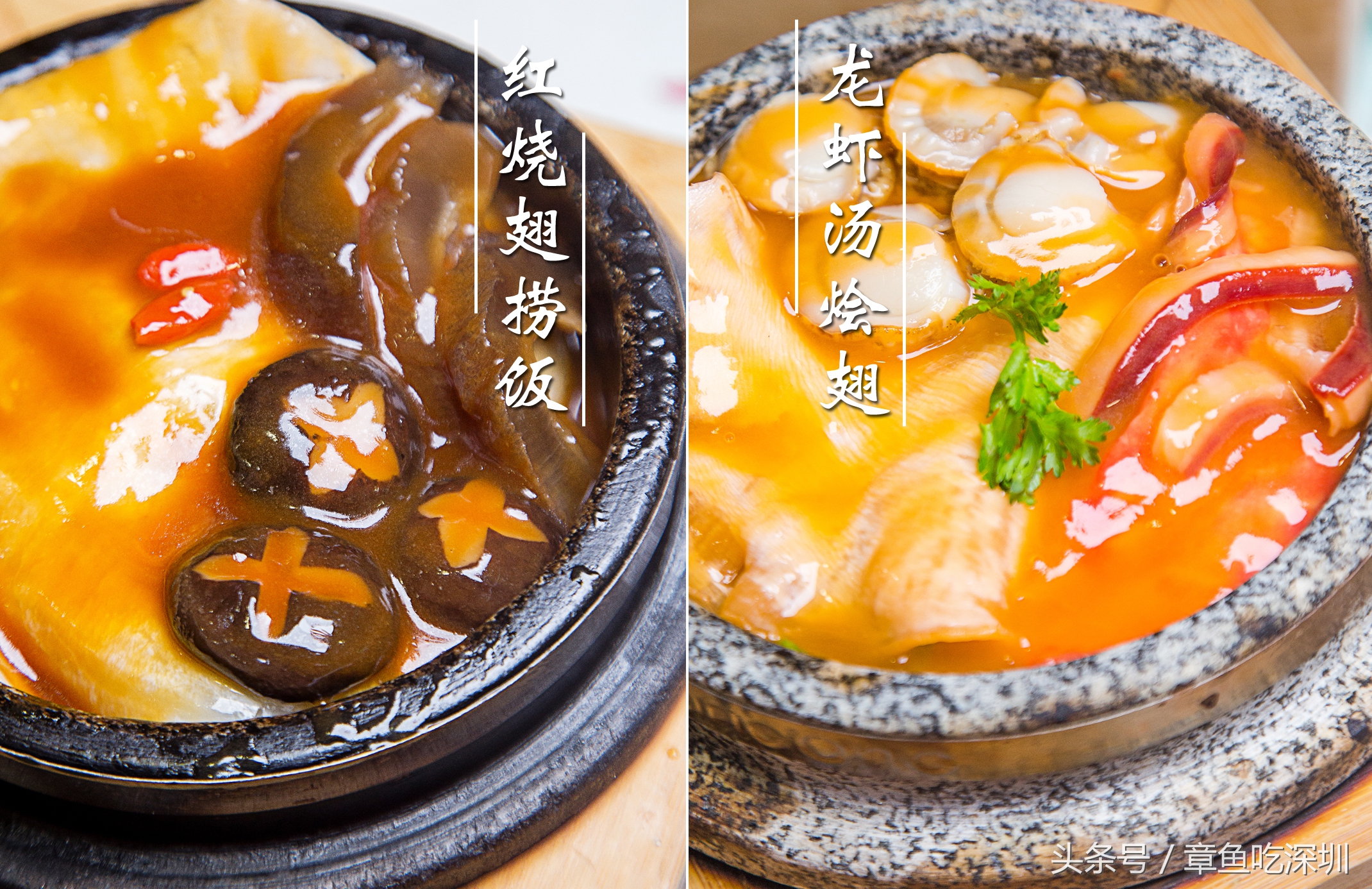 哪里有鱼翅捞饭,每份仅需9.9元鱼翅捞饭随便吃