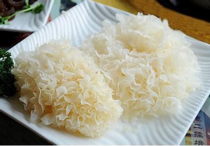 肺热的人吃什么食物好,肺热适合吃什么食物