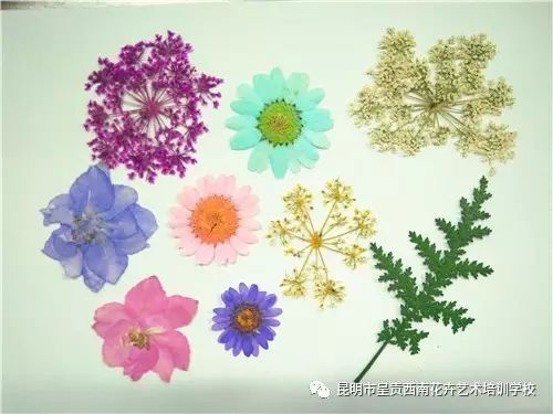 手工腊梅花蜡烛教程,植物压花蜡烛diy沙龙活动