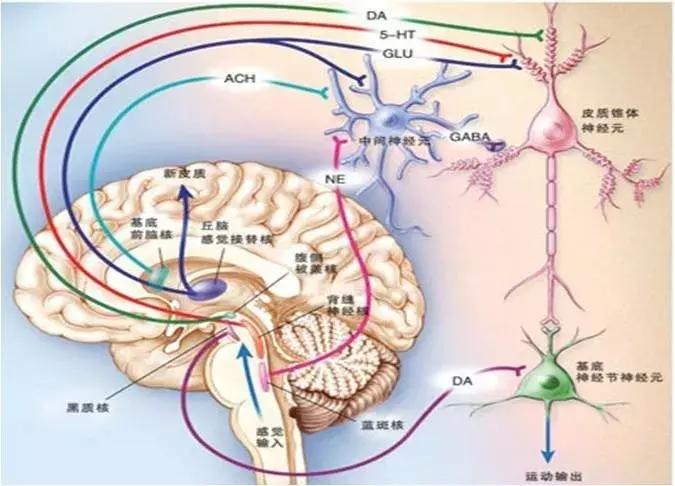 腰背痛什么锻炼方法能恢复,长期久坐腰背肌疼痛怎么锻炼