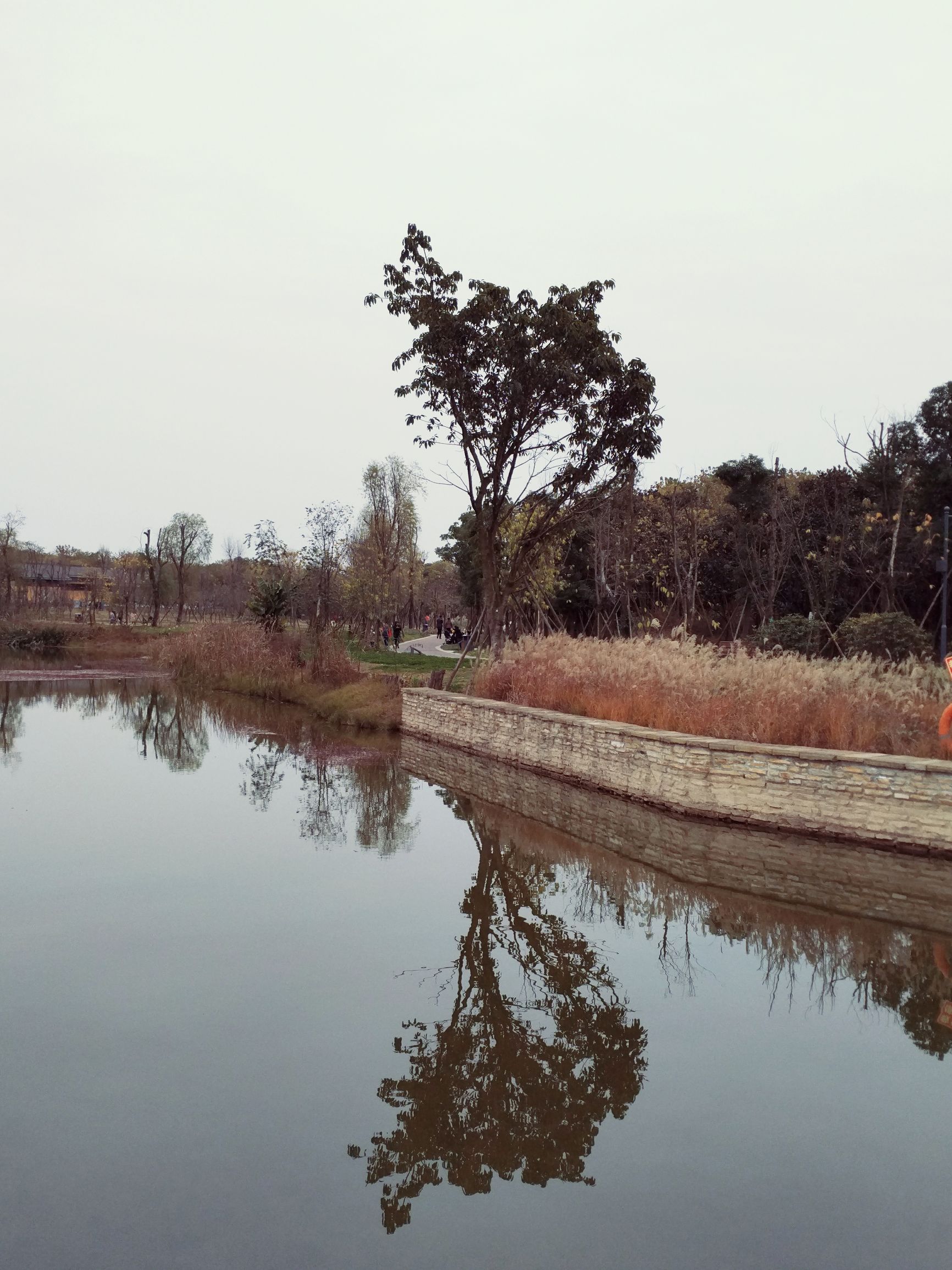 goodwellbetterbest分别的用法,goodbetterbest的意思