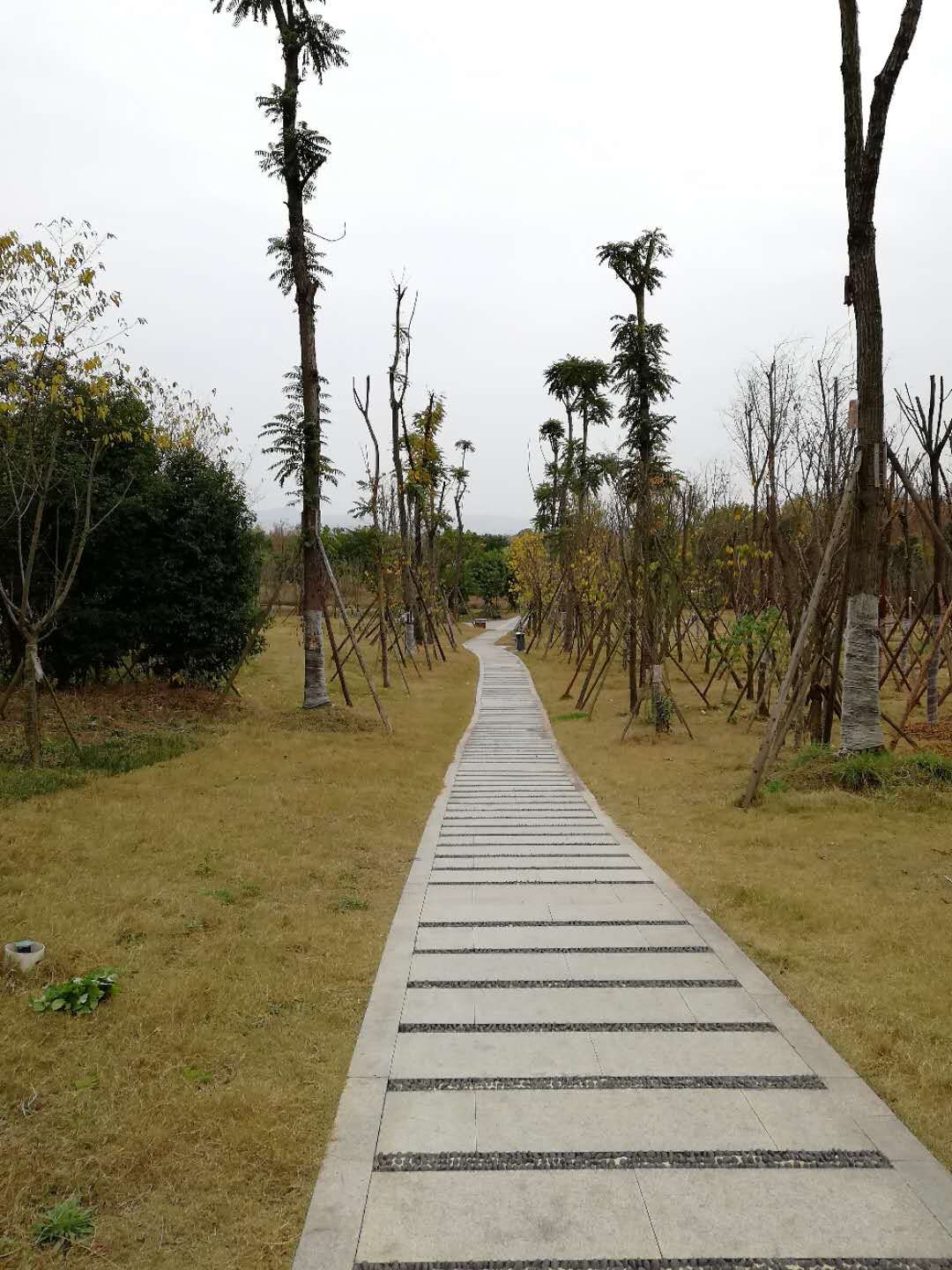 goodwellbetterbest分别的用法,goodbetterbest的意思