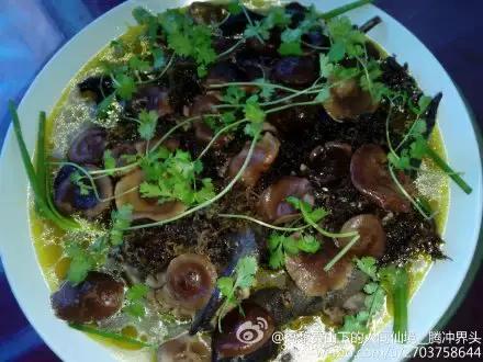 千年古银杏树腾冲界头,千年银杏树王的图片