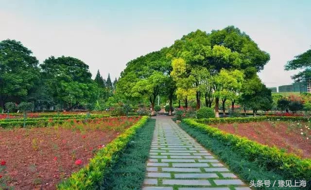 上海免门票名单,上海免门票最新政策