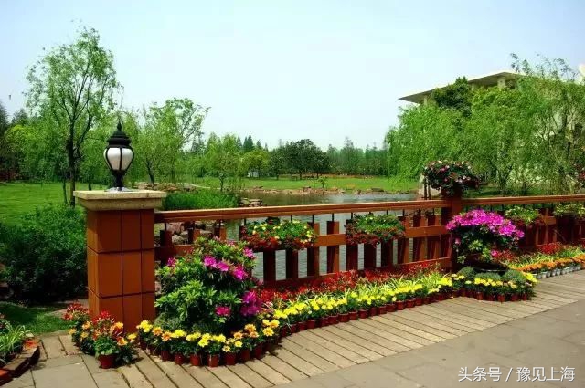 上海免门票名单,上海免门票最新政策