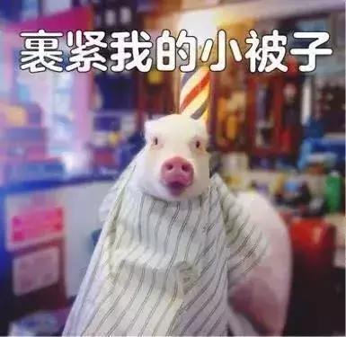 适合干皮肤的隔离霜推荐平价,隔离霜推荐遮瑕底妆