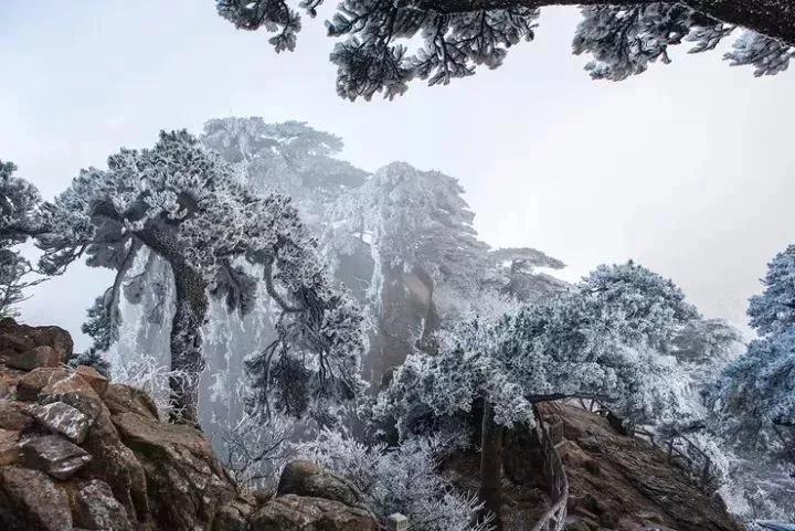 武汉到黄山直达高铁有规划不,武汉到黄山高铁经过泾县吗