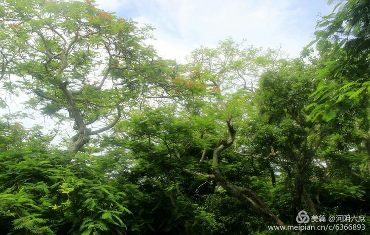 印度尼西亚巴厘岛印度教寺庙,巴厘岛最田园的热带风景