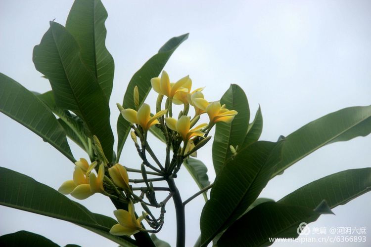 印度尼西亚巴厘岛印度教寺庙,巴厘岛最田园的热带风景