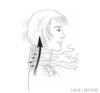 颈椎病的康复治疗手法,颈椎病用圆枕能康复吗