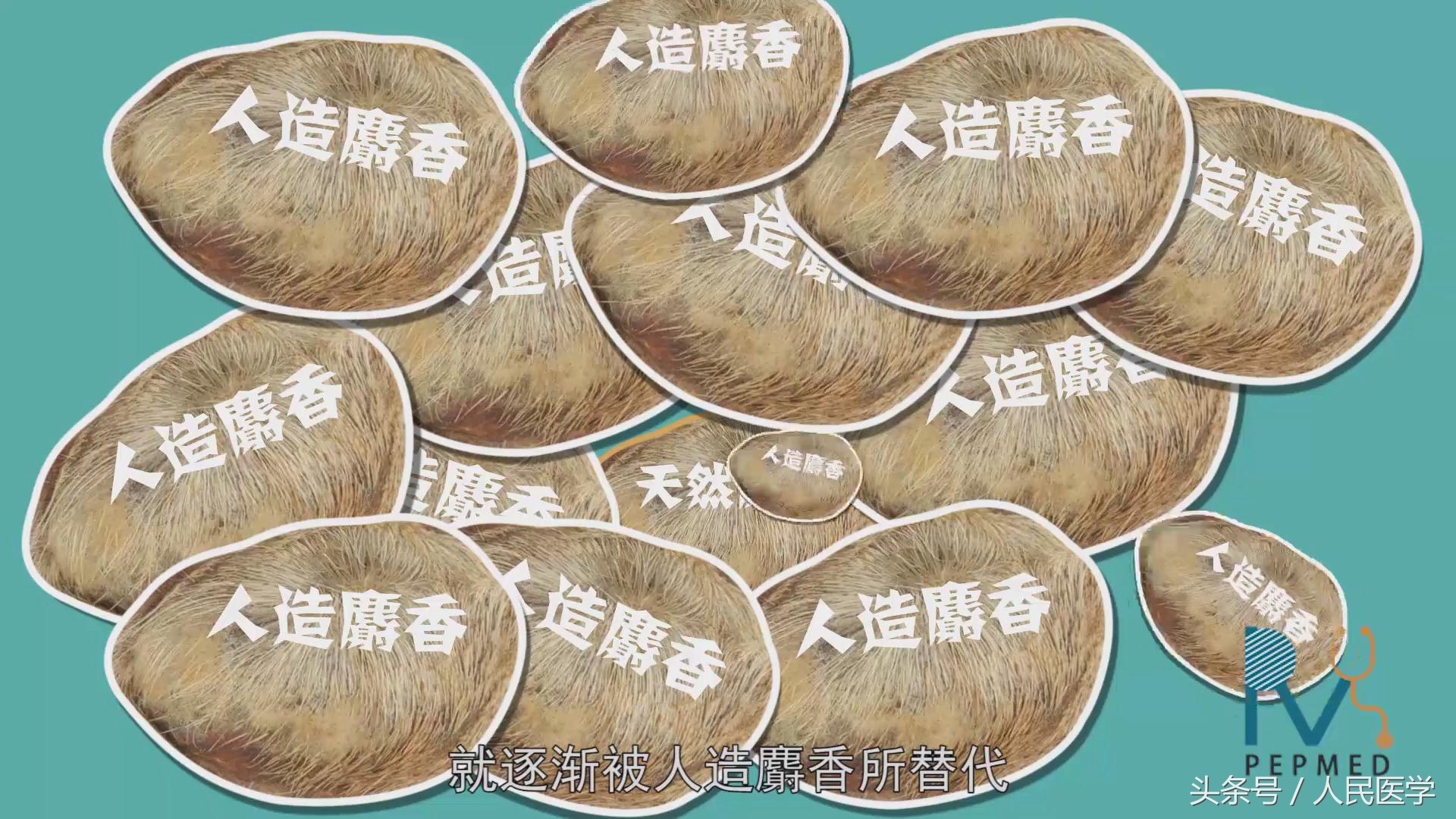 麝香可以导致女人流产吗,麝香可以打胎吗