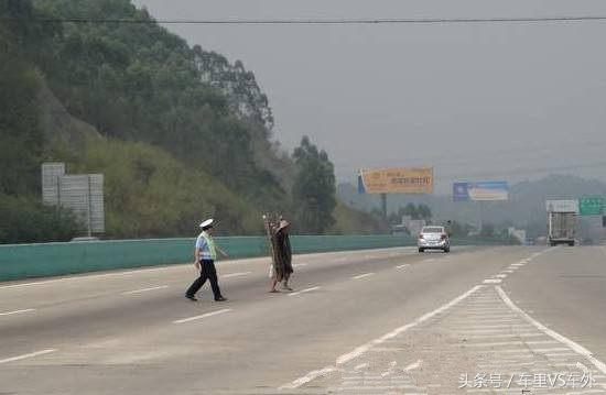 开车正常开动撞死人了会什么后果,汽车在公路上撞死狗要赔钱吗