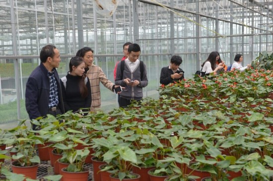 寰俊鏃呮父杈句汉,寰俊杈句汉