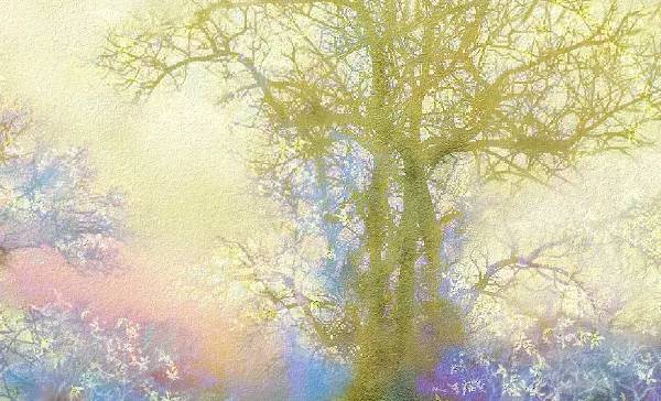 花开花落云卷云舒视频,花开花落云卷云舒什么意思