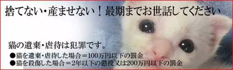 日本人有多恨猫（Excuseme？）