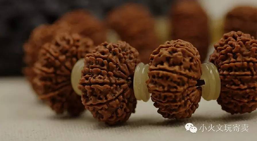 金刚与落地红,落地红对比金刚菩提