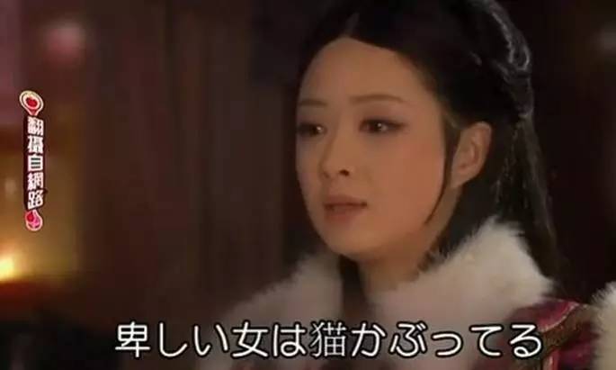 日本人有多恨猫（Excuseme？）