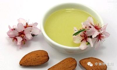 野生茶油的功效和食用方法,农村茶油功效与作用
