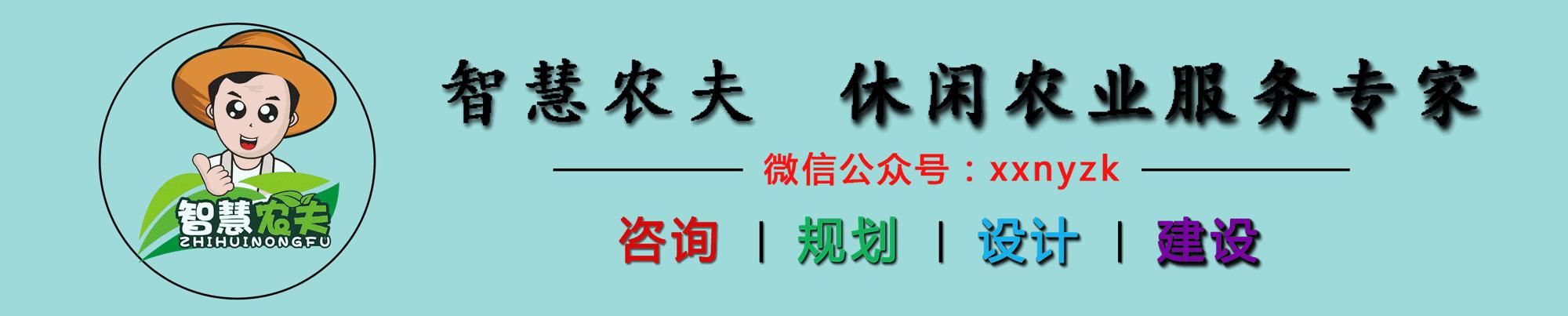 可以水培的蔬菜植物有哪些,水培家庭蔬菜种植箱优缺点