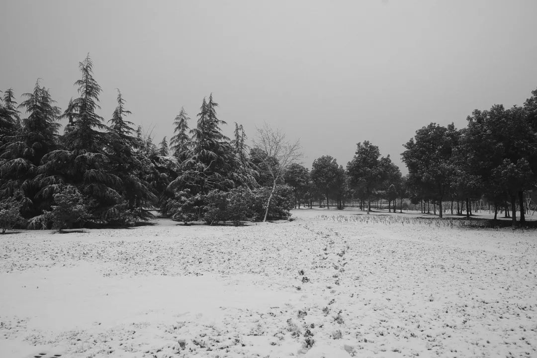 人人都怀念18年的仁川,人们总是怀念2018年